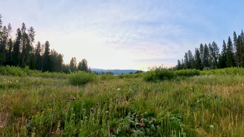 Rising up to Jackson Lake In Grand Teton National Park
