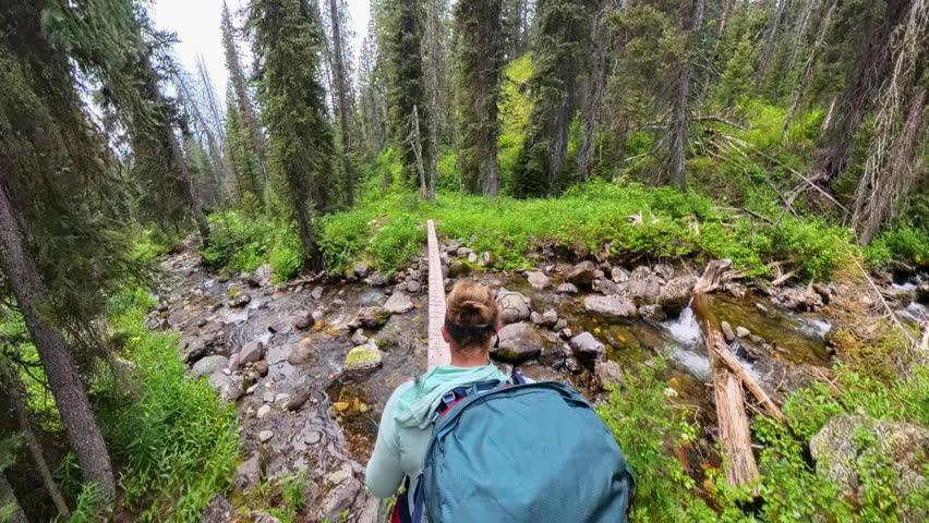 Walking Across Narrow Log Bridge In Grand Teton National Park