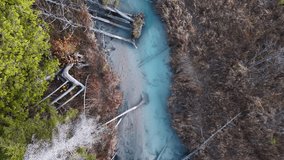 Drone view of a vivid blue stream cutting through autumn marshland, revealing fallen logs and swampy textures in Michigan’s wilderness - Powered by Shutterstock - Get 15% off with code: PIKWIZARD15