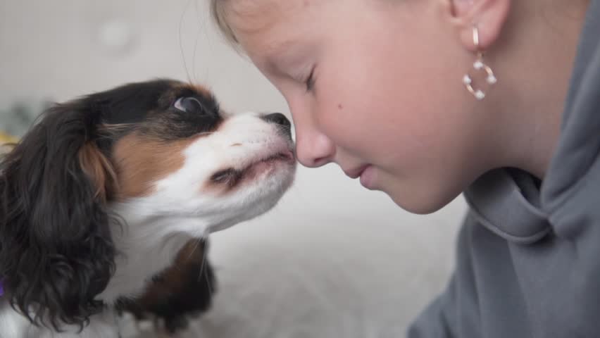 A heartwarming video shows joyful interactions between children and Cavalier King Charles Spaniel puppies, highlighting their bond through playful affection