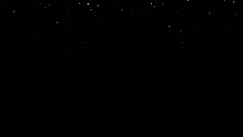 LIMITED text animates with scaling loop. Bold typography pulses with short pop. text fx, limited label, bold type, animated pop