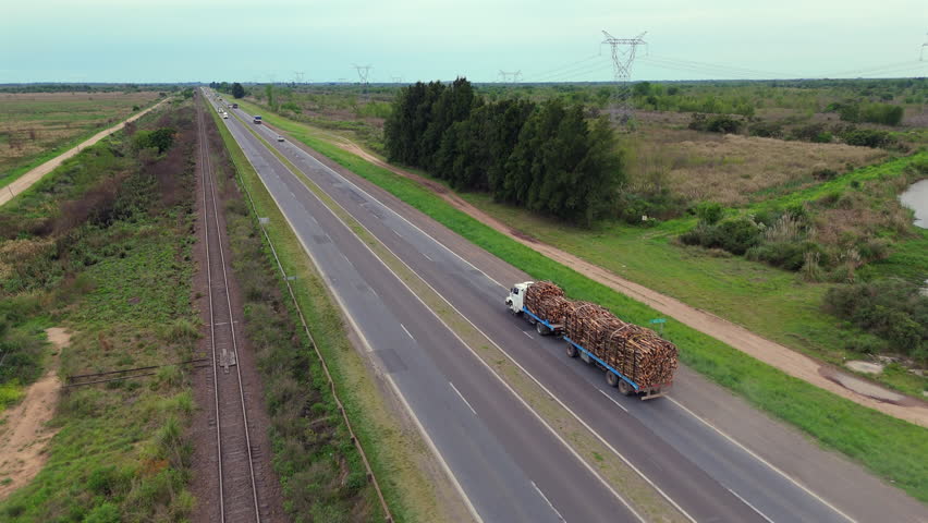 Truck loaded with tree trunks travels on highway, exploitation of natural resources