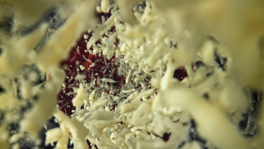 Making pizza. Mozzarella cheese falls on pizza. Filmed on a high-speed camera at 1000 fps. High quality FullHD footage