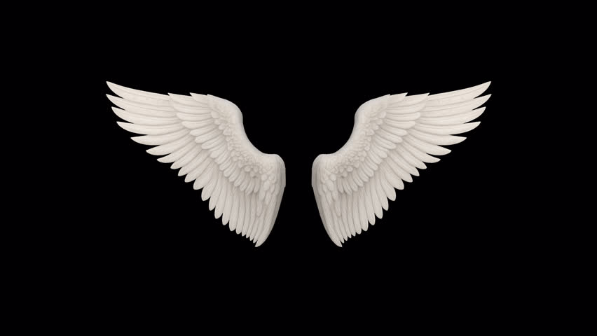 Angel wings – looped with alpha channel.