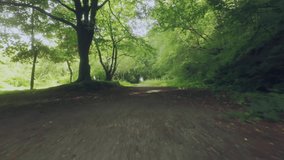 Digital network overlay floating over sunlit forest path, connecting blue icons with glowing lines. Nature, connectivity, technology, outdoor, futurism, innovation, visualization - Powered by Shutterstock - Get 15% off with code: PIKWIZARD15