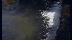 Flat design network overlay flowing over gentle river, connecting human icons and cloud symbols. Nature, connectivity, technology, outdoor, serenity, innovation, ecosystem - Powered by Shutterstock - Get 15% off with code: PIKWIZARD15