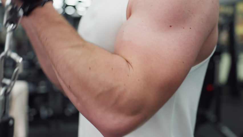 Bodybuilder flexes defined arm while powering cable machine curls in spacious modern gym, veins surfacing and triceps pumping with focused strength during intense upper body workout
