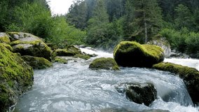 Mountain river flowing inside mysterious forest. Water splashes stone rapids at sunset.A vibrant nature. - Powered by Shutterstock - Get 15% off with code: PIKWIZARD15