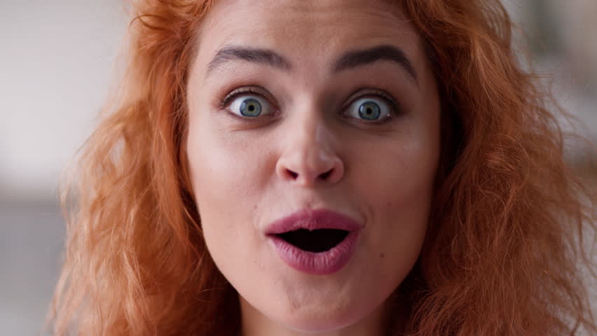 Shutterstock Video