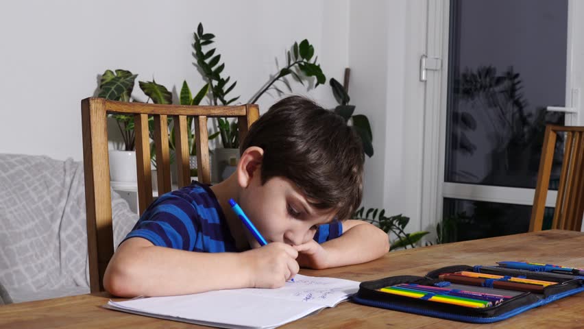 Boy is studing at home, doing homework