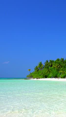 Tropical island in Indian Ocean. Wild and uninhabited beach with palm trees. Travel destinations. Vertical footage