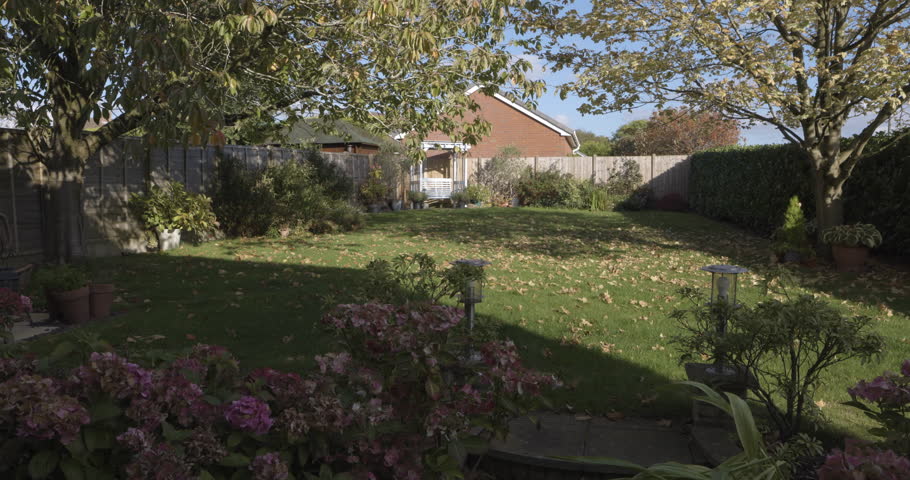 Garden, grass and green lawn and trees in zen, calm or peace landscape gardening, nature environment or private property. House, home or backyard growth with plants, leaf texture or real estate view