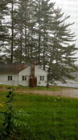 View through a rainy window shows a New Hampshire lakeside cottage and pine tree
