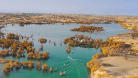 Aerial View of Desert Oasis Lake with Boats and Vegetation - Powered by Shutterstock - Get 15% off with code: PIKWIZARD15
