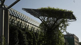 Innovative solar panel installation entwined with lush greenery, blending renewable technology with urban nature in a modern eco-friendly environment. - Powered by Shutterstock - Get 15% off with code: PIKWIZARD15
