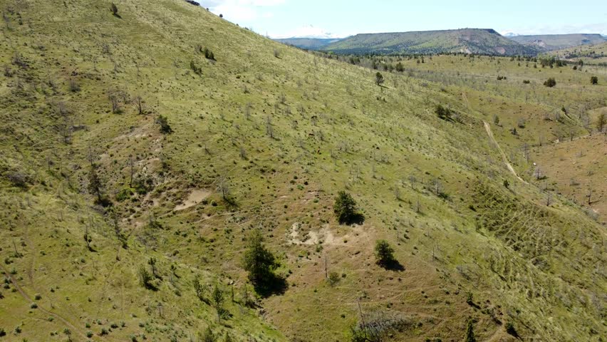 US, Oregon, Warm Springs, , 2025-04-21 - Drone view of wild horses roaming the tribal lands near the Deschutes River. High desert of central Oregon, in Spring.
