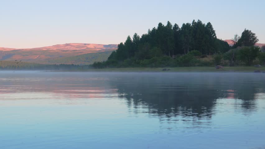 Thin mist hovering over still waters of Aluminé Lake with pine trees along the shoreline and distant hills under soft early light in Neuquén, Argentina