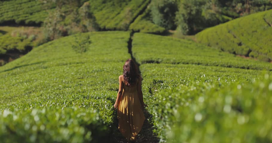 A woman in a flowing yellow dress walks along a narrow path through lush tea plantations in Nuwara Eliya, Sri Lanka. The vibrant green landscape captures the beauty of nature and adventure. 