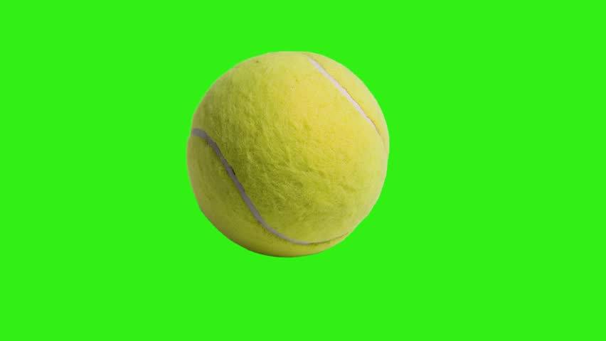 Shutterstock Video
