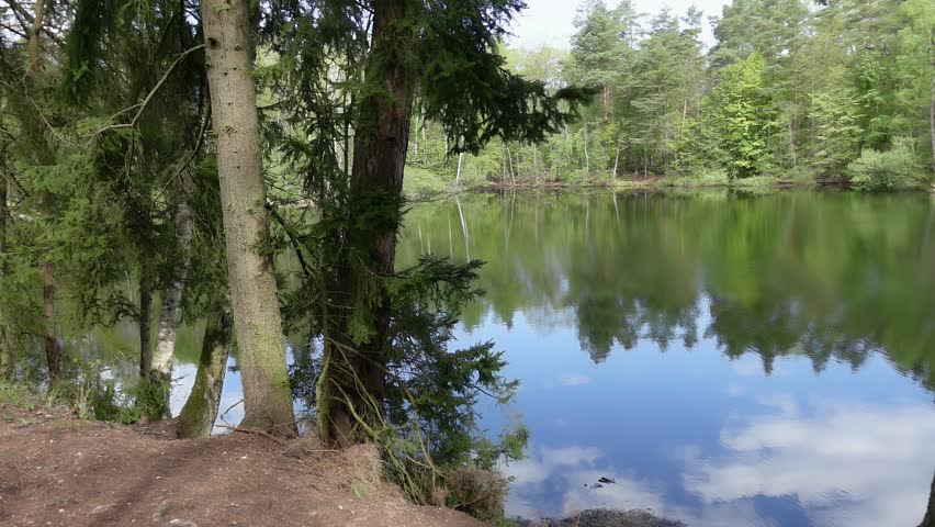 Beautiful Spring Lake in the Middle of a Forest in 4K Slow Motion