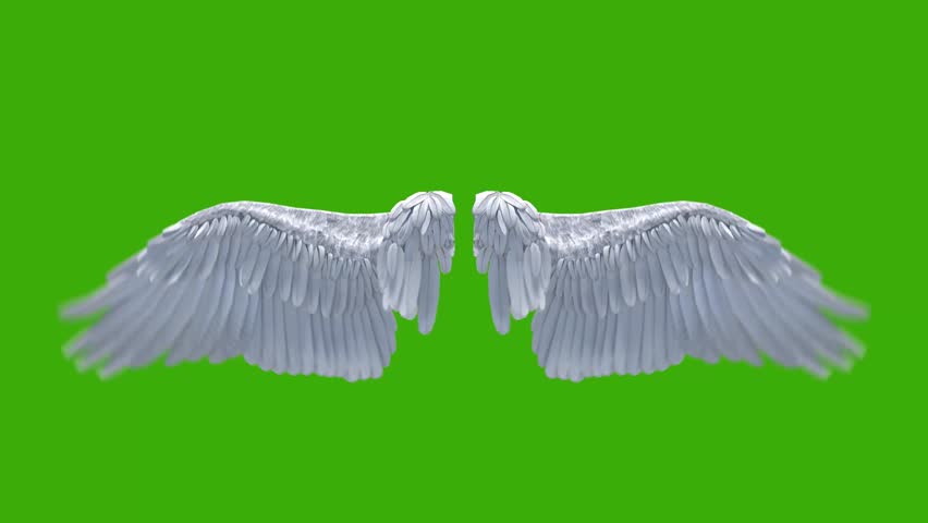 Bring divine elegance to your visual projects with this Realistic Feather Angel Wing Spread Effect. This high-quality video overlay features beautifully detailed white feathered wings gently