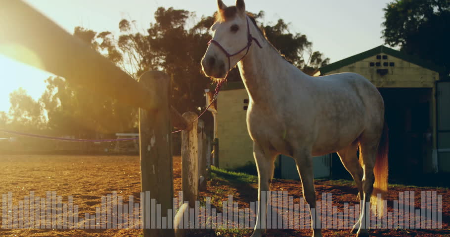 3D render showing white horse wearing purple halter standing in sunlit paddock near wooden fence. Equine, rural, rustic, landscape, tranquil, countryside, natural