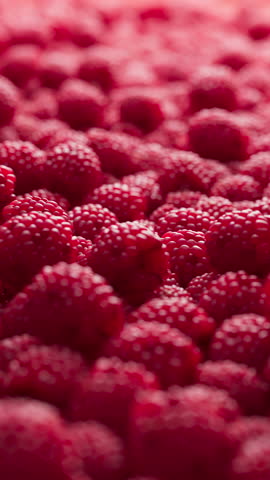 Colorful background covered with raspberries. Ripe berries for wallpaper. Patterns with fruits. Close-up. Vertical composition.