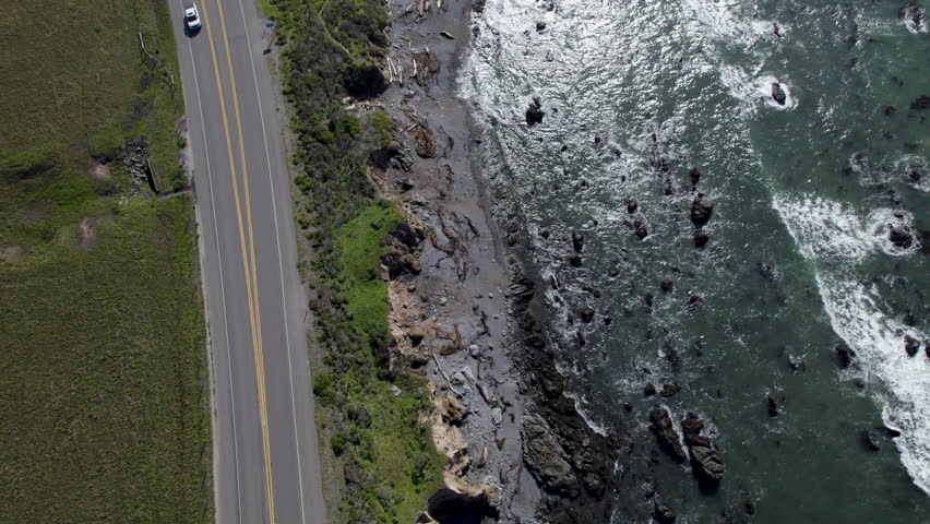 Pacific Coast Highway And Sea Lions At The Beach Of San Simeon In San Luis Obispo County, California, USA. Aerial Drone Shot