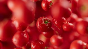 Animation of a group of tomato. Many tomatoes slowly rotate in the background in space. Horizontal composition. Defocus. Close-up. - Powered by Shutterstock - Get 15% off with code: PIKWIZARD15