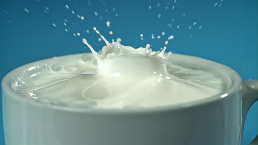 Splashes from a drop of milk. Filmed on a high-speed camera at 1000 fps. High quality FullHD footage
