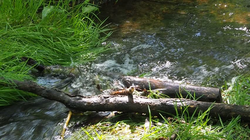 Water flows under a small wooden bridge made of branches and logs