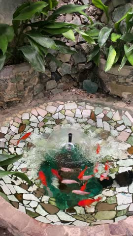 Mini pond made of mosaic piles with fountain and goldfish or Koi fish swimming in it. Green plants near water pool. Vertical video footage. 