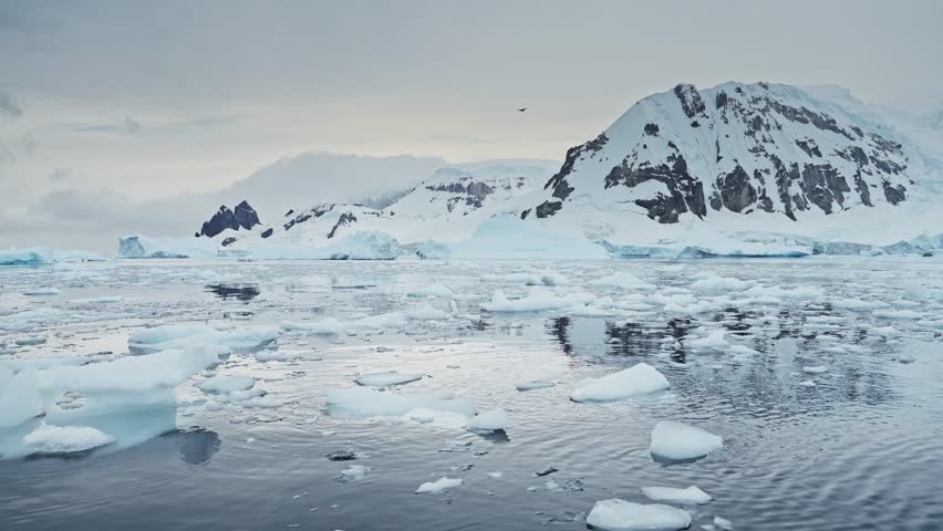 Sunset Mountains Ocean and Bird Flying in Antarctica Landscape, Sea Ice and Antarctica Peninsula Seabird in Flight in Winter Scenery Orange Sunrise Sky, Coastal Wildlife on Coast