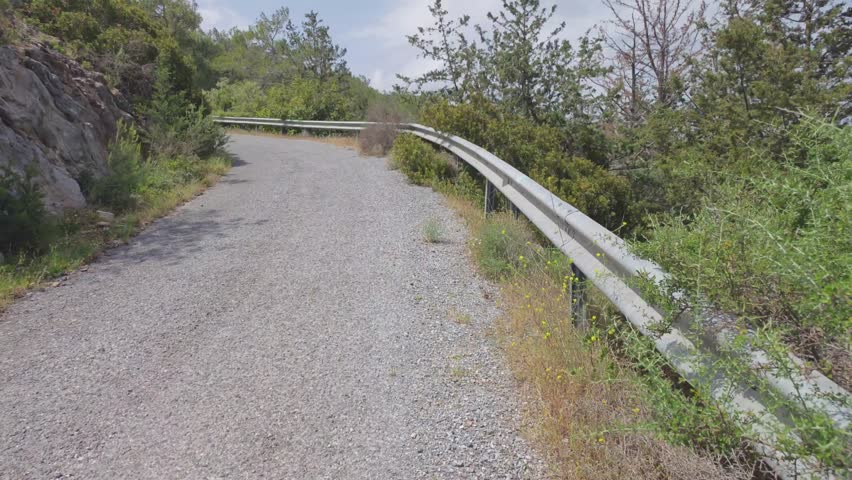 An old asphalt road wound through the mountains, covered with grasses and bushes along its edges.