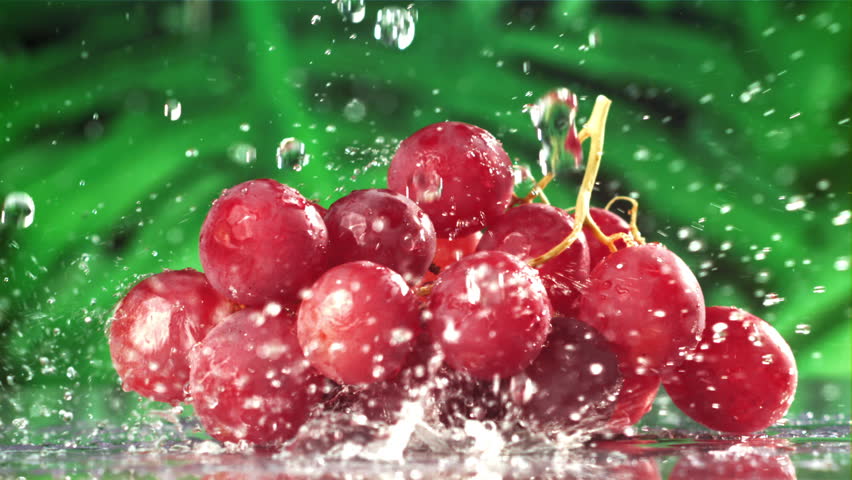 Raindrops fall on red grapes. Filmed on a high-speed camera at 1000 fps. High quality FullHD footage