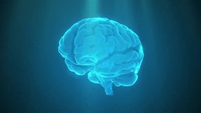 3D Animated Human Brain with Neural Activity – Medical Visualization. Ideal for use in neuroscience, healthcare, mental health, artificial intelligence, and educational projects. - Powered by Shutterstock - Get 15% off with code: PIKWIZARD15
