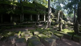 The image depicts moss-covered ruins being overtaken by large tree roots, reflecting the powerful growth of nature in an ancient, overgrown structure. Siem Reap Tomb Raider , Banteay Kdei Temple 
 - Powered by Shutterstock - Get 15% off with code: PIKWIZARD15