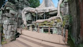 The image depicts moss-covered ruins being overtaken by large tree roots, reflecting the powerful growth of nature in an ancient, overgrown structure. Siem Reap Tomb Raider , Banteay Kdei Temple 
 - Powered by Shutterstock - Get 15% off with code: PIKWIZARD15
