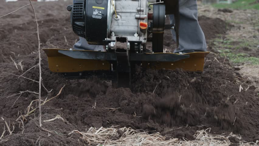 Preparing the soil in the garden with a walk-behind tractor. A powerful walk-behind tractor maneuvers around the garden, cultivating fertile soil and creating precise furrows for planting crops.