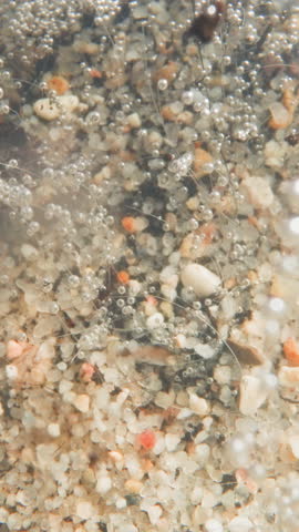 Water flow moves light colored pebbles under river surface. Glowing bubbles of air break away from shoots of leafless plant and float upwards. Whimsical underwater landscape