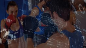 Female boxer punching heavy bag in boxing gym, with animated fitness technology tracking analytics. Training, fitness, futuristic, athletics, strength, technology, gym - Powered by Shutterstock - Get 15% off with code: PIKWIZARD15