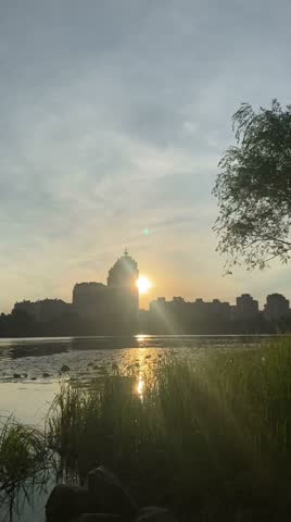 sunset over the lake with water lily through the houses in the city