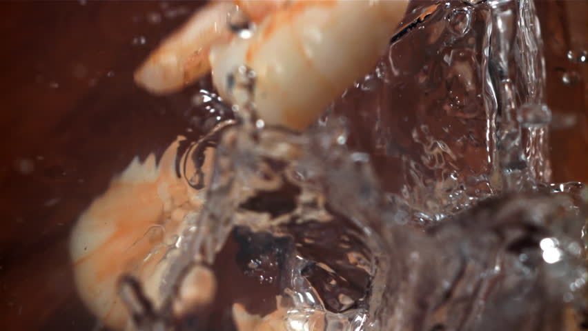 Shrimp splashes fall into the water. Filmed on a high-speed camera at 1000 fps. High quality FullHD footage