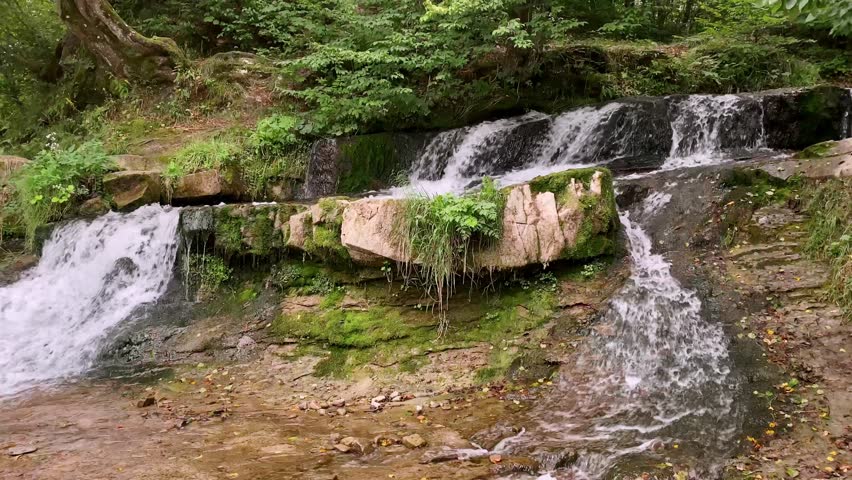 Wild mountain river. Cascading waterfall with clear water flows rapidly over mossy rocks rapids while lush greenery frames, vibrant forest, serene landscape. Sustainable ecosystems