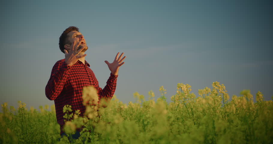Frustrated farmer in a rapeseed field expressing dissatisfaction. Bright yellow flowers in the background.