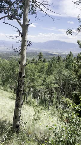 mount shavano, tabeguache peak, colorado 14ers, sawatch range, hdr video, high dynamic range, alpine hiking, twin peaks, mountain summit, hiking adventure, nature video, colorado wilderness, sunrise
