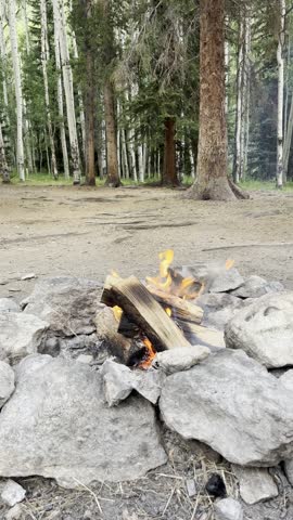 mount columbia, colorado 14er, sawatch range, collegiate peaks, rocky mountains, hdr video, high dynamic range, alpine hiking, mountain summit, hiking adventure, nature video, colorado wilderness