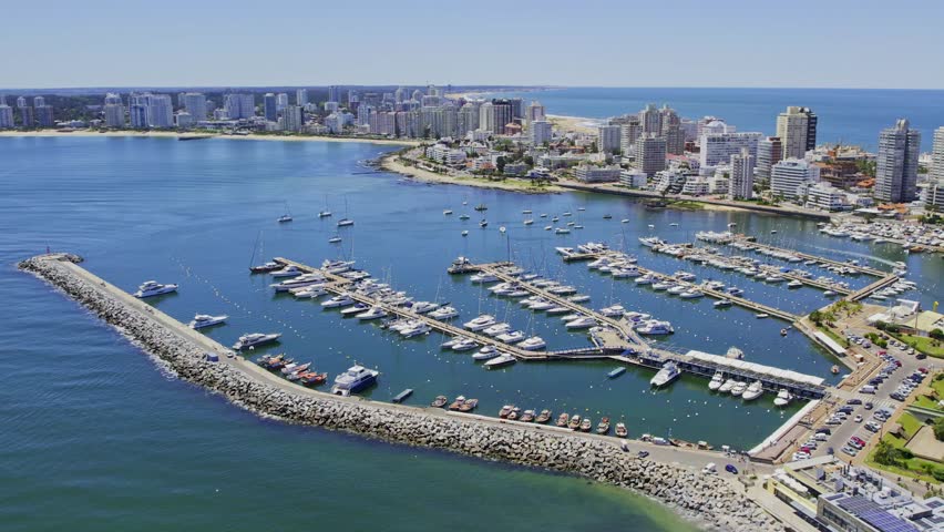 The serene marina in Punta del Este filled with boats on a stunning summer's day