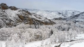 Winter Landscape: Snow Covered Mountains and Forest Valley - Powered by Shutterstock - Get 15% off with code: PIKWIZARD15