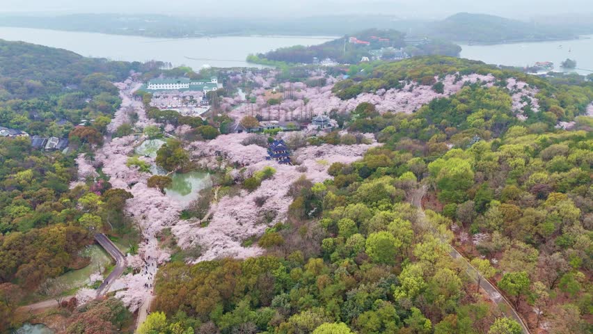 Aerial View of the Yuantouzhu Scenic Area of Taihu Lake in Wuxi, Jiangsu Province, China